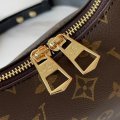 Louis Vuitton M45832 g1
